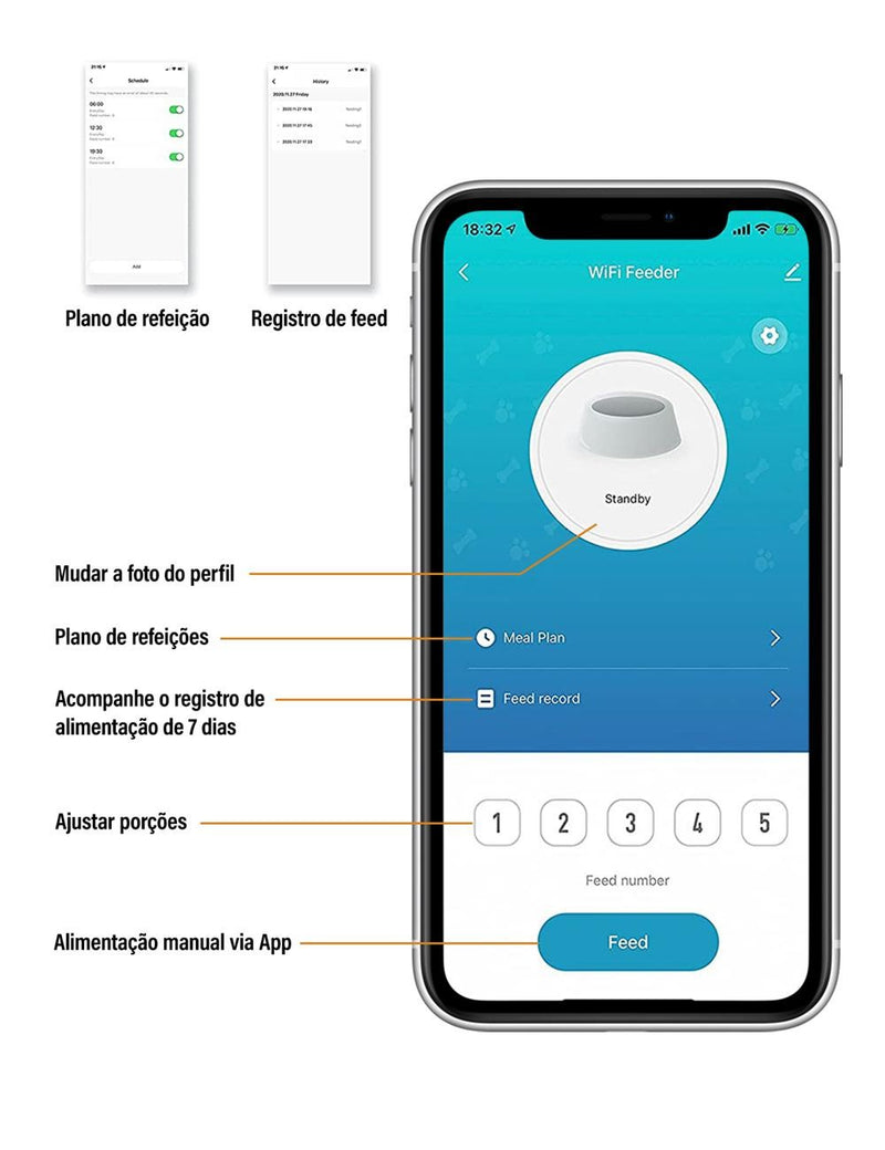 Newpet Alimentador Temporizado para Gatos 4L – Alimentação Inteligente para Seu Pet