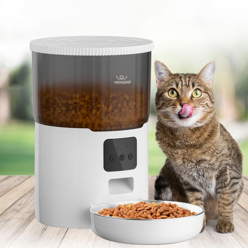 Newpet Alimentador Temporizado para Gatos 4L – Alimentação Inteligente para Seu Pet