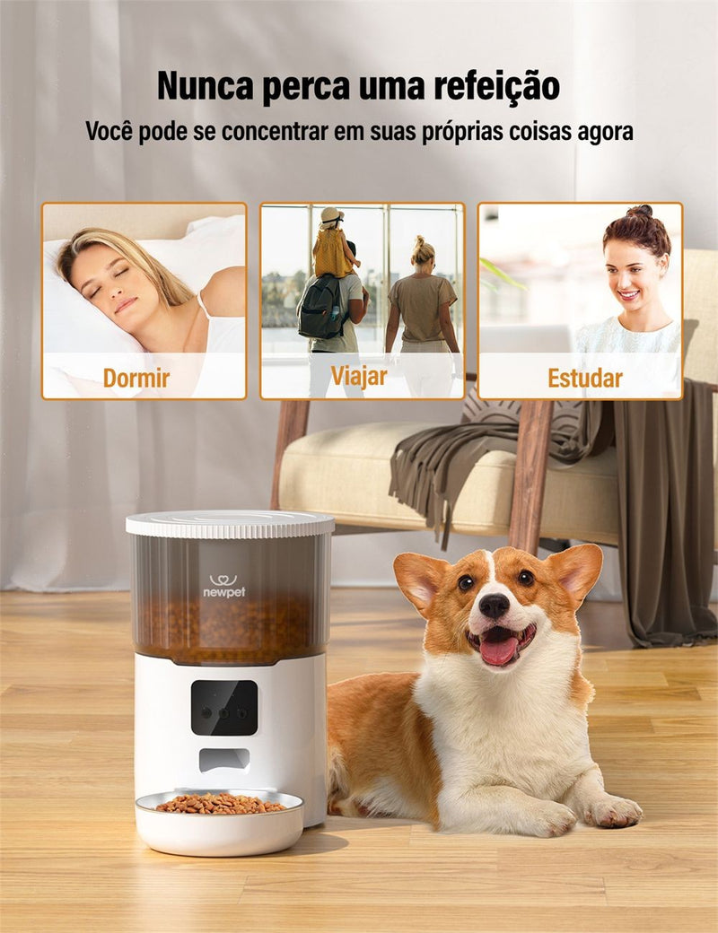 Newpet Alimentador Temporizado para Gatos 4L – Alimentação Inteligente para Seu Pet