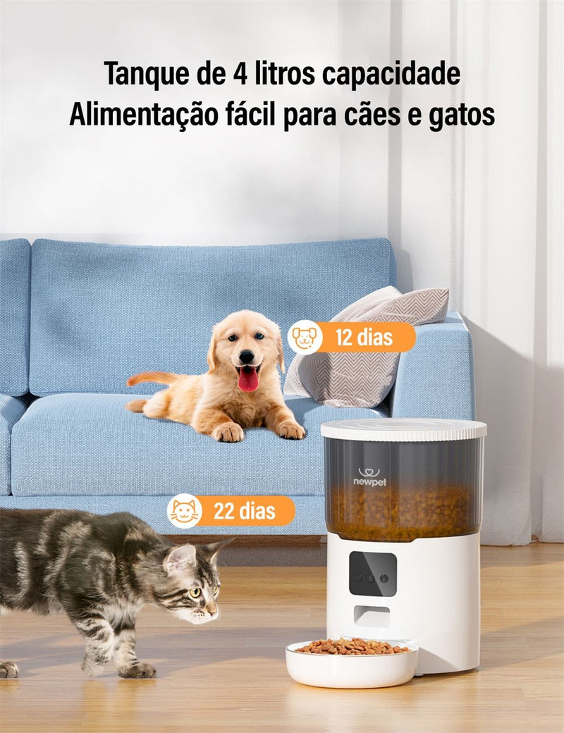 Newpet Alimentador Temporizado para Gatos 4L – Alimentação Inteligente para Seu Pet